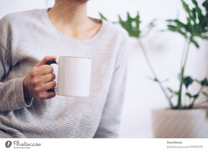 Hand holding coffee cup mug hands hot tea woman drink warm girl winter lifestyle plant soft light monstera leaf leaves plants green foliage houseplant pot