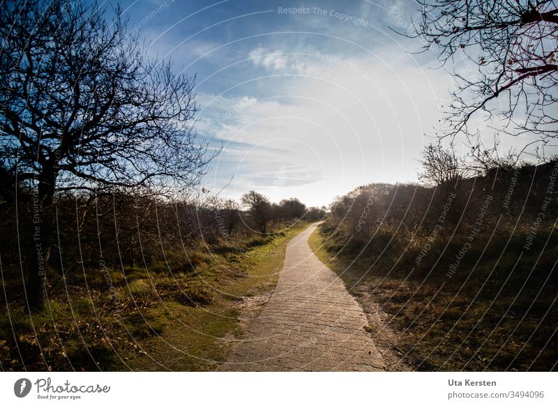 Way in the dunes Lanes & trails off Borkum Marram grass Dune Exterior shot Landscape Nature Colour photo Sky North Sea Vacation & Travel Island