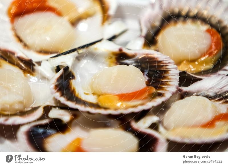 Scallops closeup cooked cooking cuisine delicious diet dish eat food fresh gourmet healthy meal mediterranean scallops nutrition ocean plate prepared restaurant