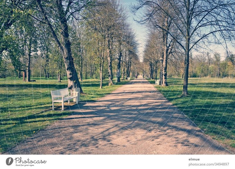 straight path through a park with trees, empty bench and hardly any people in spring off Park Park bench Bench Deserted Tree Avenue sunshine Shadow Green Spring