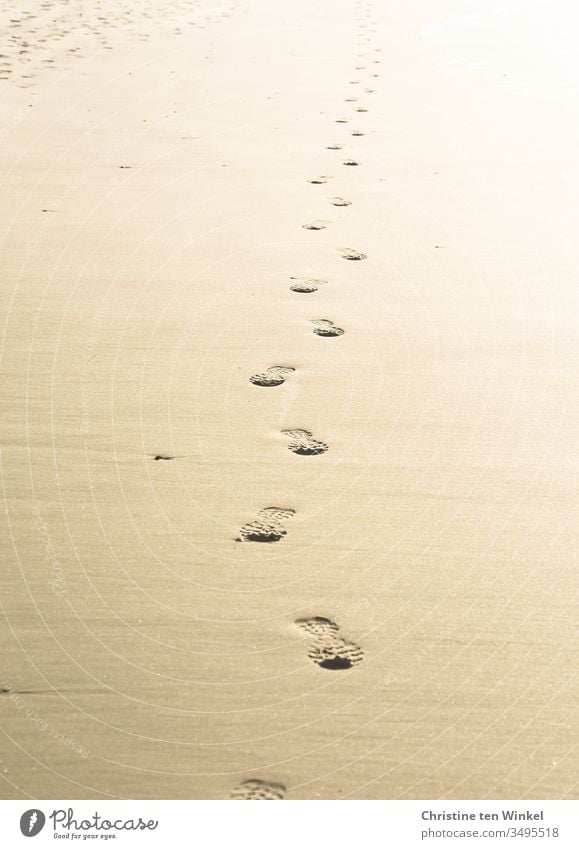 Lonely footprints in the sand come from afar Footprints in the sand Sand Sandy beach Loneliness by oneself shoe prints Back-light Nature Deserted