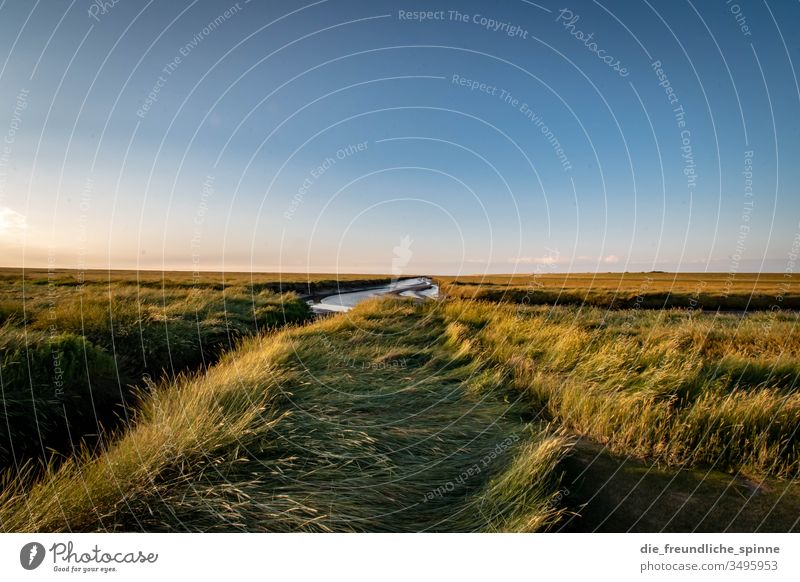 Westerhever I Sky Ocean Coast Water Horizon Nature Tourism Blue Exterior shot Vacation & Travel Landscape Deserted Far-off places Idyll Day Summer vacation