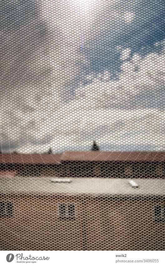 Close-meshed Window Gauze Sun Sunlight Back-light houses Facade Sky Clouds Horizon Shallow depth of field Plastic Fly screen Narrow Thin Copy Space top Detail