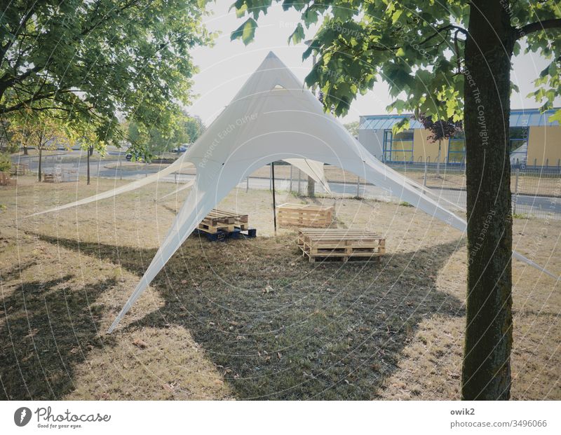 pyramid Tent Simple leuicht Palett free time out Sand Sunlight Tree Tree trunk Shadow Beautiful weather