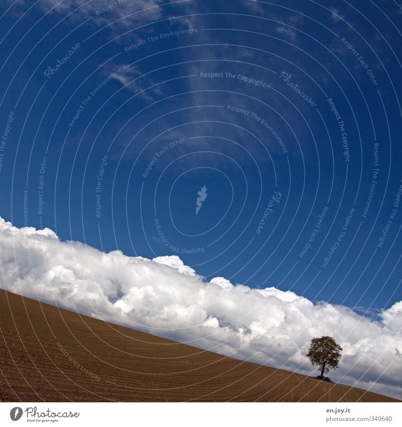 Avalanche? Agriculture Forestry Environment Nature Landscape Plant Elements Earth Sky Clouds Horizon Climate Climate change Weather Beautiful weather