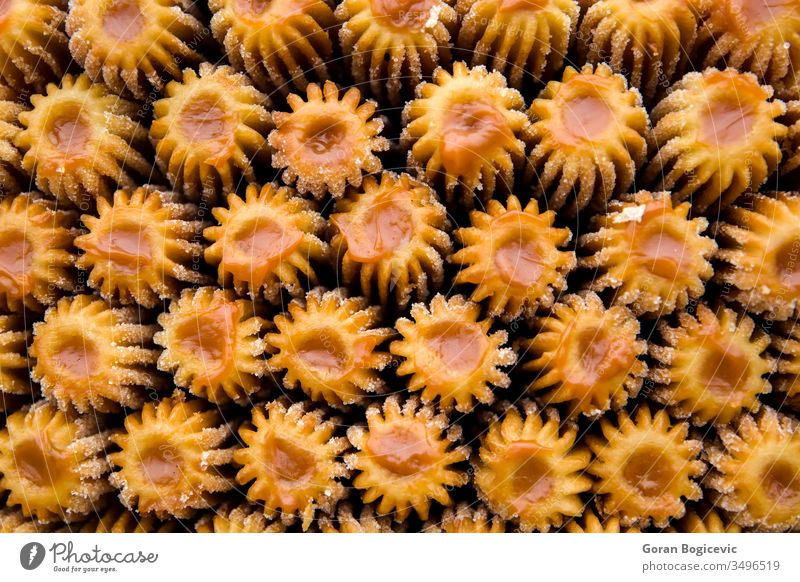 Traditional churros from Peru pastry sweet fried cuisine food snack dessert delicious tasty traditional culture typical stack nobody dough street row closeup