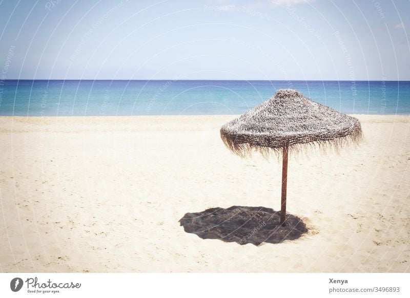 Lonely beach with parasol Beach Sand Sandy beach Sun vacation Ocean Horizon Sunshade Sky Vacation & Travel Coast Summer Relaxation Water Deserted Exterior shot