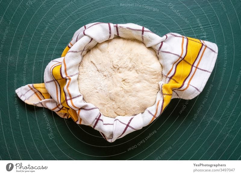 Sourdough set to rise in a bowl, top view artisan bread bake baker bakery baking at home baking bread batter close-up covered cuisine culture delicious diet