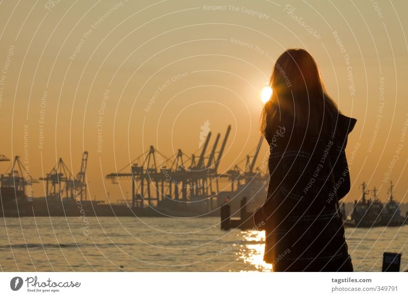 HAMBURG ATMEN Hamburg Jetty Harbour Town Elbe Dockside crane Woman Sunset Sunbeam Back-light Vacation & Travel Travel photography Yellow Orange Breathe