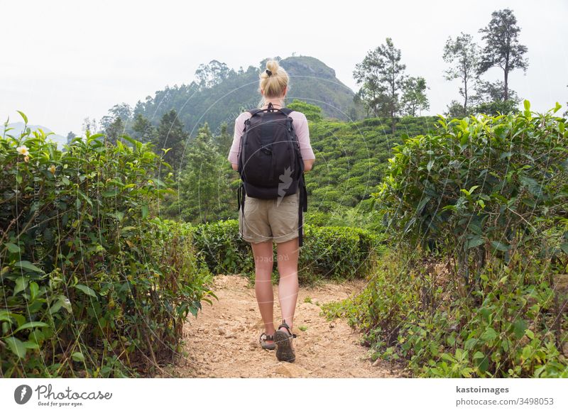 Female tourist enjoying beautiful nature of tea plantations, Sri Lanka. adventure woman free trekking travel landscape track person summer asian beauty active