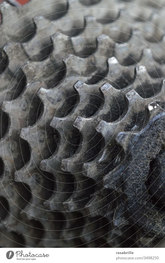 Detail of the bicycle gearshift | Symmetry pinion chain circuit Gear rim Gearwheel Bicycle Circuitry Teeth Near Second-hand utilised Oily grease Wheel Sports