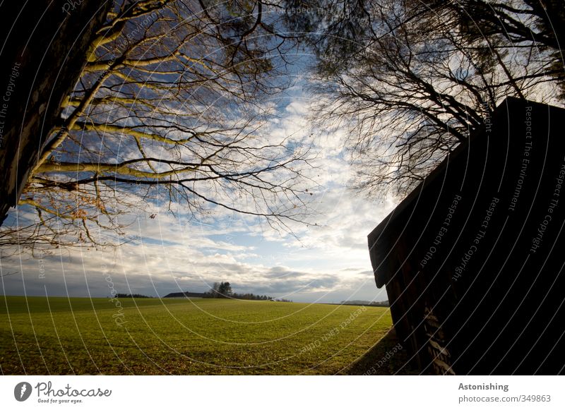 Evening Sun II Environment Nature Landscape Plant Sky Clouds Horizon Sunrise Sunset Sunlight Summer Weather Beautiful weather Warmth Tree Meadow Field Forest