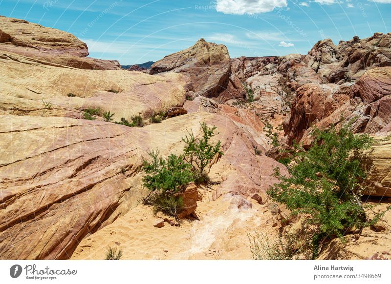 Beautiful rock structure at Valley of Fire State Park in Nevada US america landscape nature natural travel world earth planet save wonder protect protection