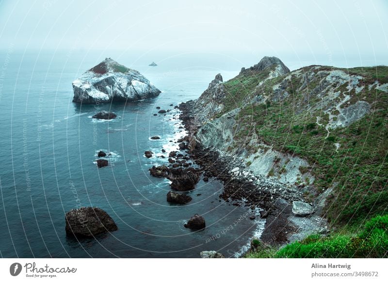 Big Sur view in the early morning USA Americas Coast coastline Beach Ocean Pacific Ocean Island Water Horizon Green world Earth Planet Save Protect Protection