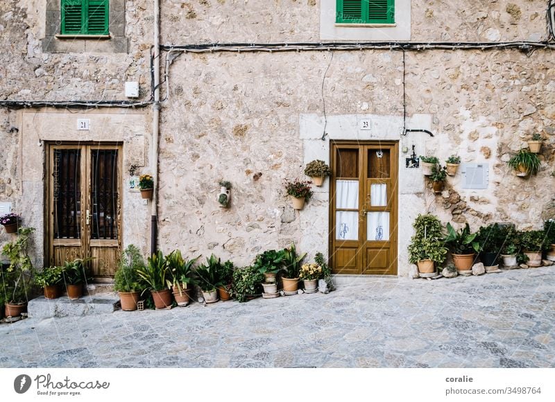 House entrance with plants in Mallorca Valldemossa Plant Flowerpot neighbourhood Side by side next door Door front door Entrance Majorca Alley Colour photo