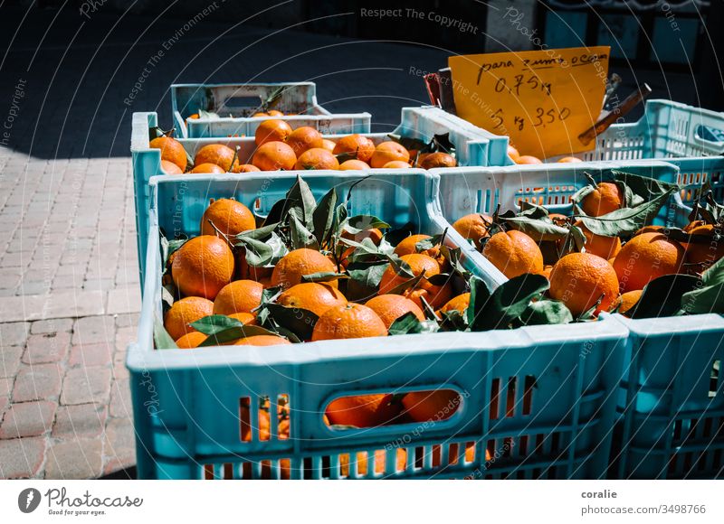 Boxes of oranges on the market Orange Orange juice Fruit Marketplace Markets Market stall Colour photo Food Vegetarian diet Organic produce Fresh Healthy