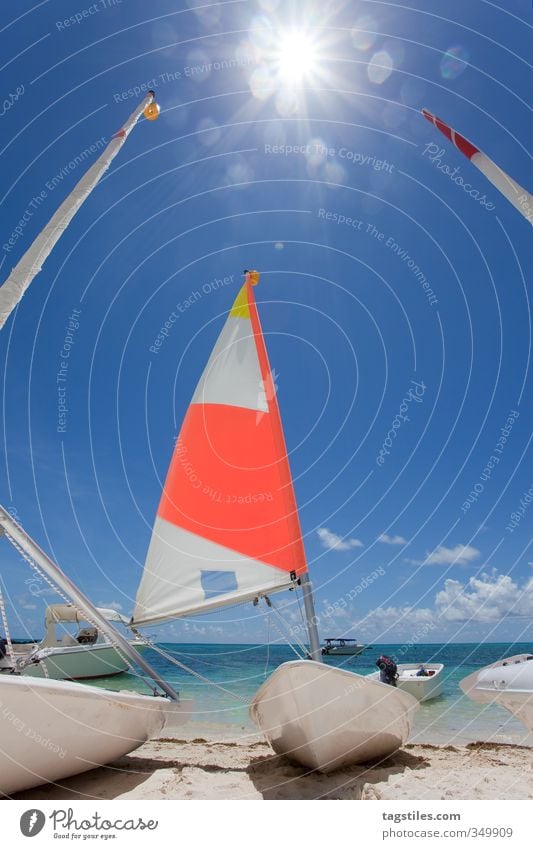 BÖÖTSCHE Mauritius Africa Beach Ocean Watercraft Sailboat Sailing ship Back-light Colour photo Vacation & Travel Travel photography Paradise Aquatics Sun