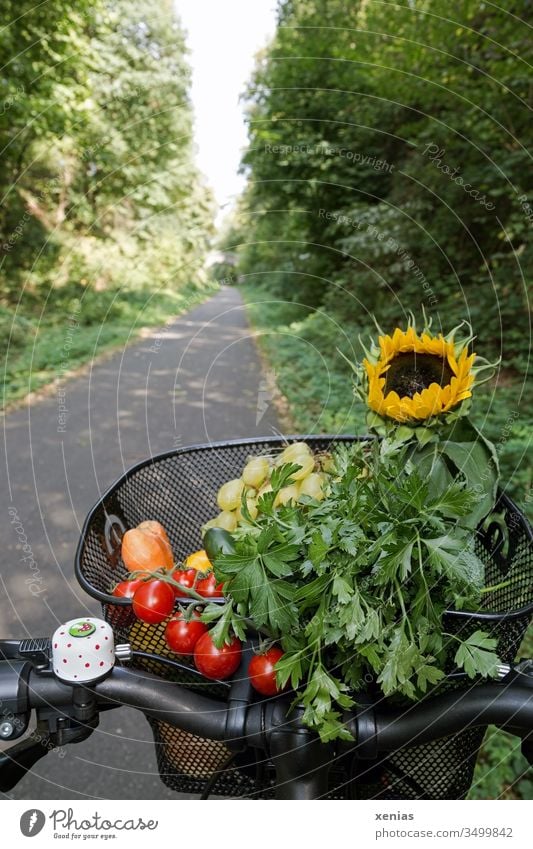 Cycling - Modern and healthy transport of vegetables, fruit and sunflower in a bicycle basket Bicycle Cycle path Traffic infrastructure Mobility purchasing