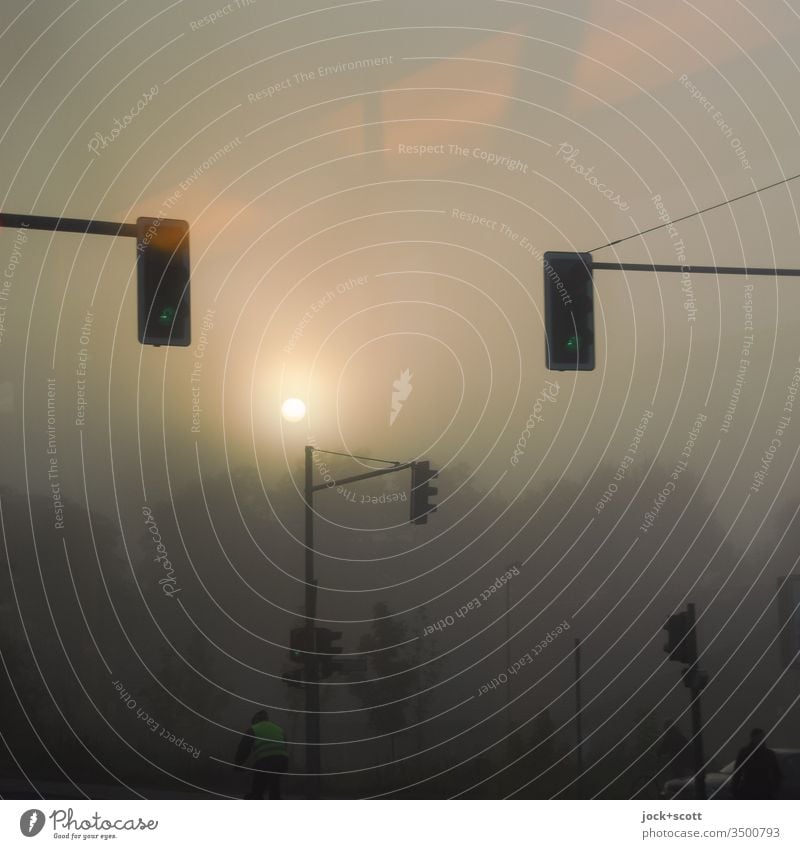 On a foggy day, road users cross each other in sunshine blurriness Sunlight Silhouette Dawn Sunrise Hazy Light (Natural Phenomenon) Back-light Inspiration