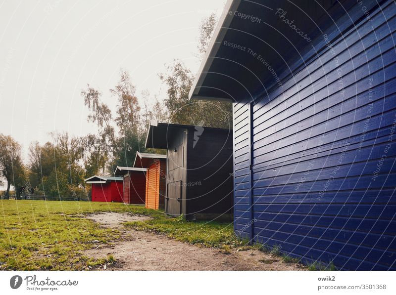 row of houses Huts Row Wood Wooden house Multicoloured variegated Blue Red Orange trees Sky Meadow Closed Deserted Exterior shot Nature Glittering Simple Rustic