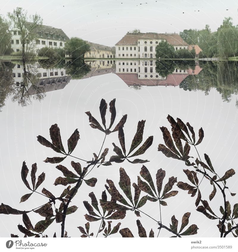 King's Wartha 180° Lake Park Lock distinguished Sky Covered windless Reflection Surface of water Mirror image 1:1 symmetric Symmetry Water leaves twigs