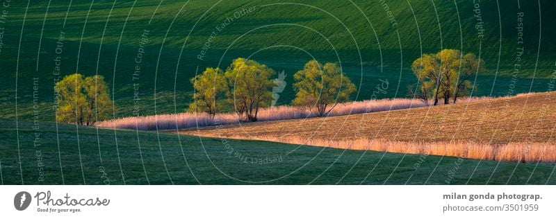 Rural landscape of Turiec region in northern Slovakia. countryside rural fields spring agriculture nature tree reed