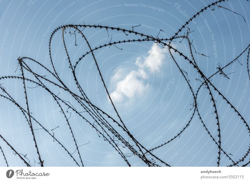 Barbed wire fence in the middle of a white cloud prison security sharp metal barbed border iron protection steel isolated danger barrier boundary line black