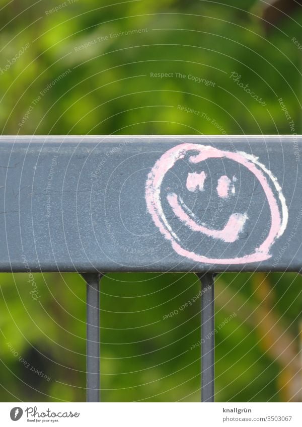 Pink smiley on a metal fence Smiley Graffiti Smiling Metalware Gray Green Communicate Colour photo Deserted Exterior shot Sign Day Copy Space top