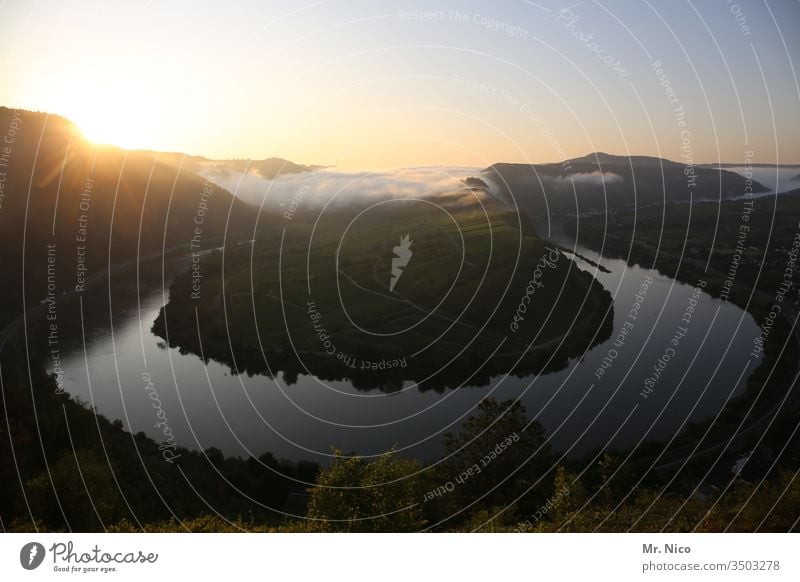 Moselle loop Mosel (wine-growing area) Vineyard River Landscape Vacation & Travel Tourism Sunrise Wine growing Nature Panorama (View) Summer