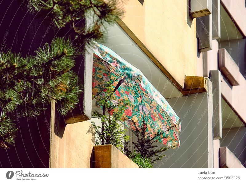 Balcony, balconies... suburb, spring mood, sunshine, beautiful light Balcony plant Coniferous trees coniferous wood Spring Sun Spring fever especially Suburb