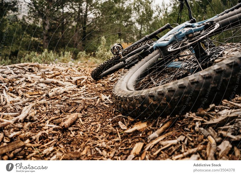 Bicycle on dry wood in forest bicycle ground tire dirty chip travel countryside heap pile nature grunge equipment timber nobody environment rough lumber trip