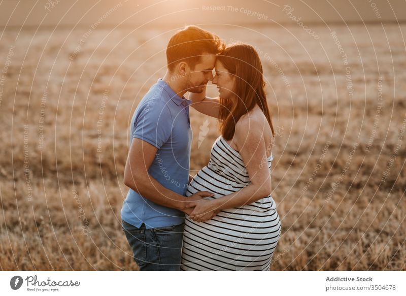 Couple awaiting baby in field couple pregnant hay field sunset love touch belly together tender countryside man woman nature expect relationship maternal happy