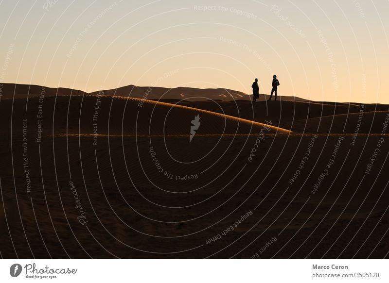 silhouette of two people in the sand dunes. Sunset in the Sahara desert. outdoor person sunset nature travel freedom majestic color image full length adventure