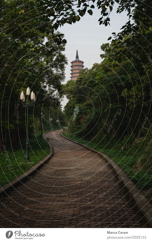 Bai Dinh Tower Pagoda at the end of the winding road between the trees. . The biggest temple complex in Vietnam. Trang An, Nim Binh. pagoda track tower religion