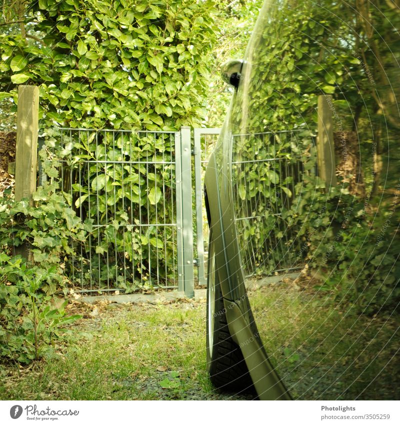 Reflection in car door Car door reflection leaves Garden fence Tire Ivy cherry laurel off vintage Moody Profile stones Parking Exterior shot Deserted Vehicle