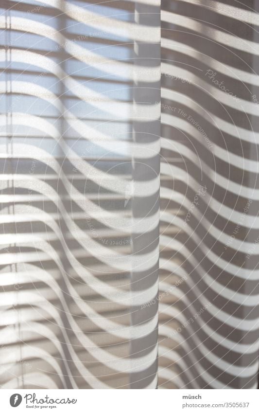 shadow cast Shadow Light Sun Summer review Warmth Stripe White Blue Sky Venetian blinds Window Easy lines