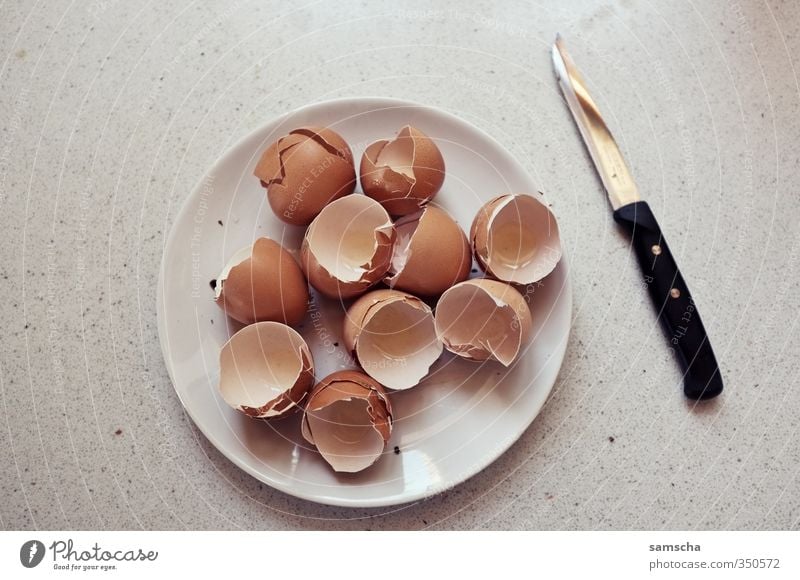 Eggs for breakfast Food Nutrition Eating Breakfast Diet Plate Cutlery Knives Kitchen Fitness Sports Training Healthy Broken Eggshell Egg dishes Egg production