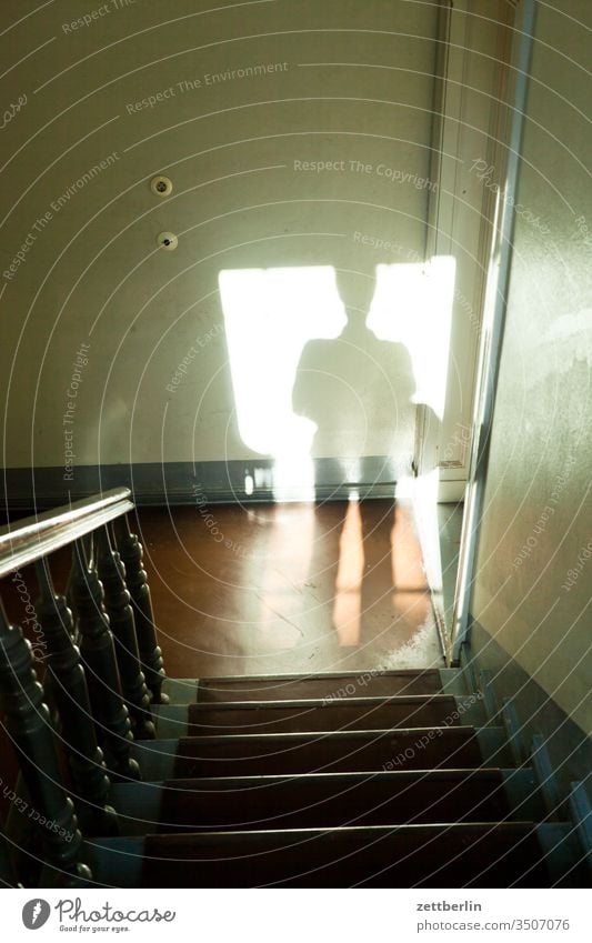 Shadows in the staircase Staircase (Hallway) sales Stairs Man Landing Human being Banister Descent Downward ascent Upward Window Handrail