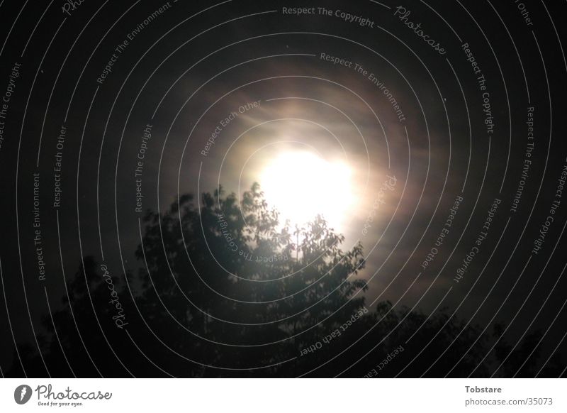 moonlight Night Clouds Fog Moonlight Photographic technology Light (Natural Phenomenon) late steamy