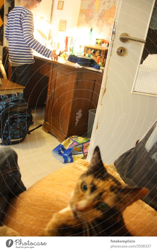 Child at the desk with cat in the foreground Schoolchild Children's room of school age Study Homework Education Student Pet Parenting Desk Cat Love of animals