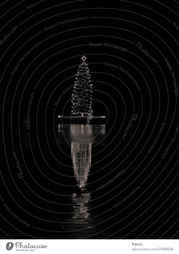 To get in the mood for the coming Advent season, here is a floating Christmas tree. Christmas & Advent Christmas tree decorations Winter Alster Water