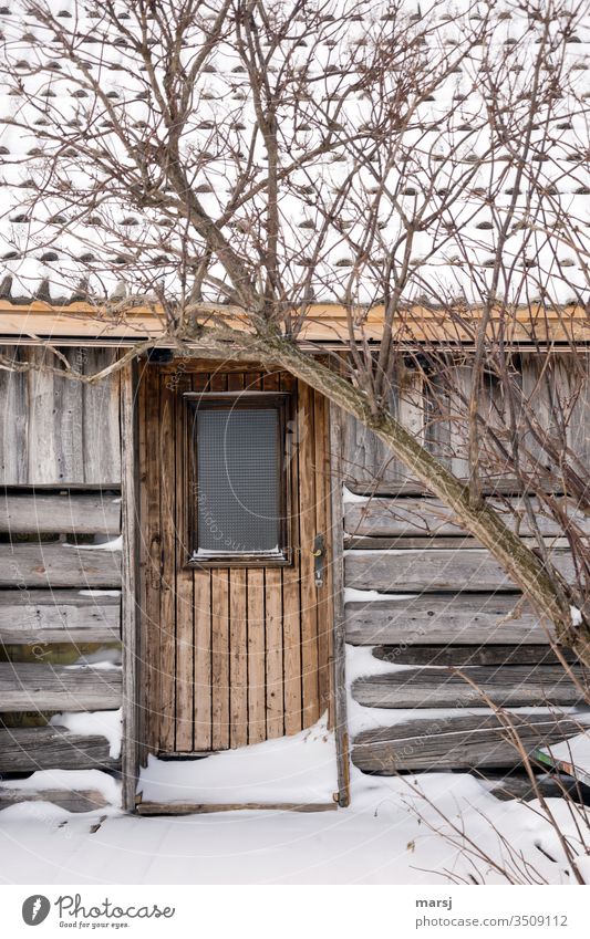 Hidden hut with locked door Idyll Loneliness Simple Cliche Snow Concealed idyllically silent Being alone secluded Winter Landscape chill