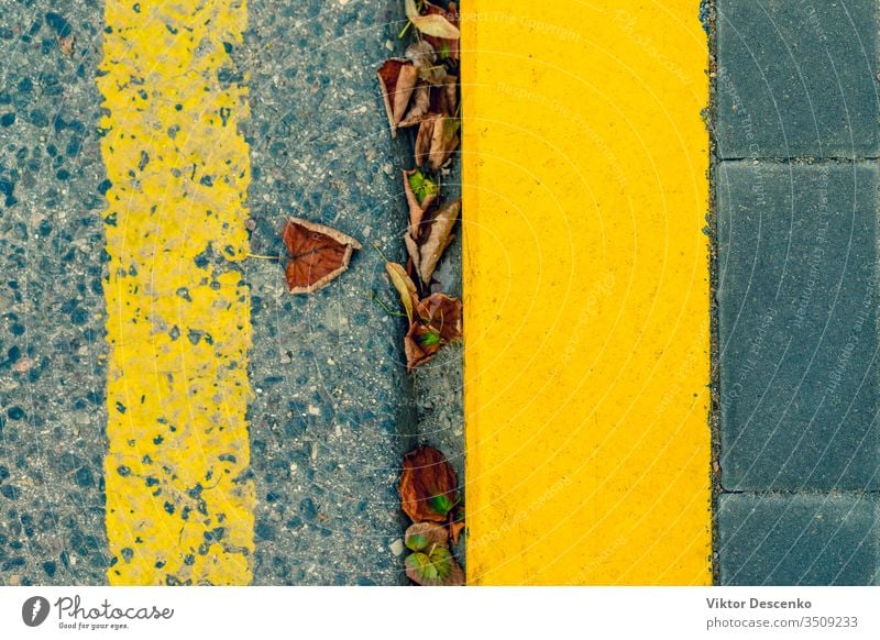 Yellow line on the road at the curb background beach tree water summer nature winter sun spring landscape coast travel sea beautiful vacation tourism sky europe