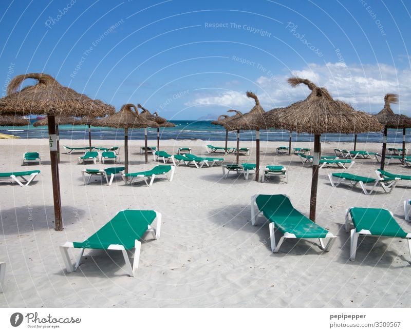 empty beach with green sun beds and brown parasols Sunshade sunshade stand Vacation & Travel Sun loungers Beach Ocean Summer Sky Sand Blue Exterior shot