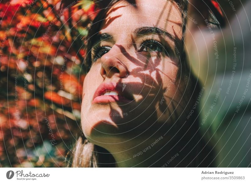 A young Mediterranean girl among the red leaves of the trees, with shadows of leaves falling on her model beautiful woman female beauty fashion portrait nature