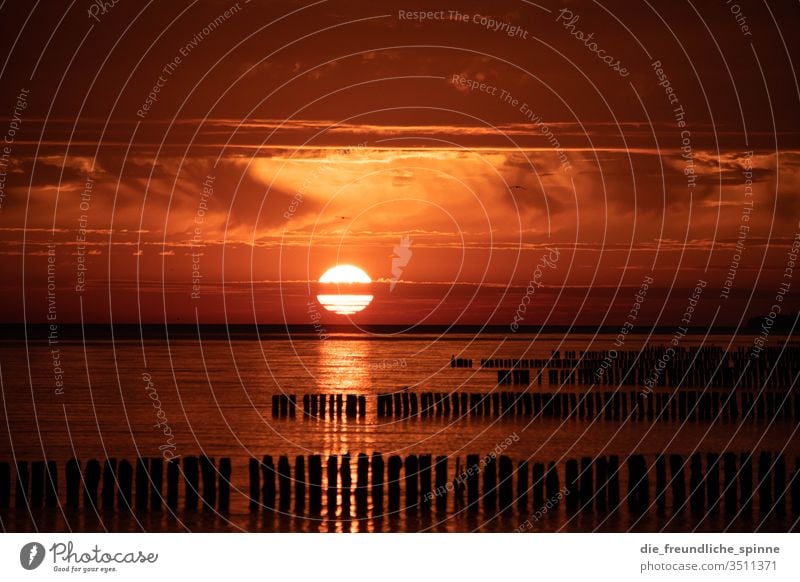 Sunrise at the Baltic Sea II Ocean breakwater Waves Sky Dramatic art Water Exterior shot Clouds Colour photo Horizon Sunset Twilight Beach Summer Coast