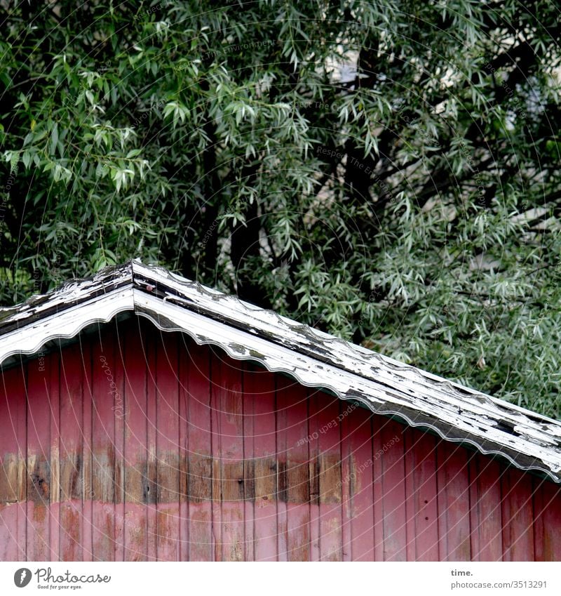 close to nature, free of brokerage fees, immediately out Nature tree locked Forest Protection Safety Border Roof built Red Old forsake sb./sth. Impression