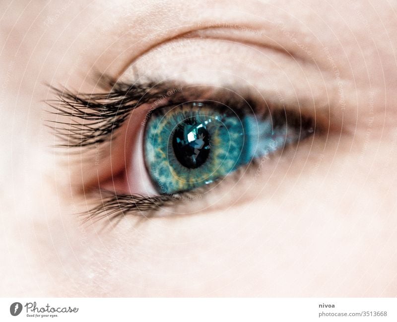 boys eye Eyes Boy (child) Looking Face Child Human being Hair and hairstyles Colour photo Eyelash Blue Green Close-up Detail Makro Skin eyes opened 1 Light Day