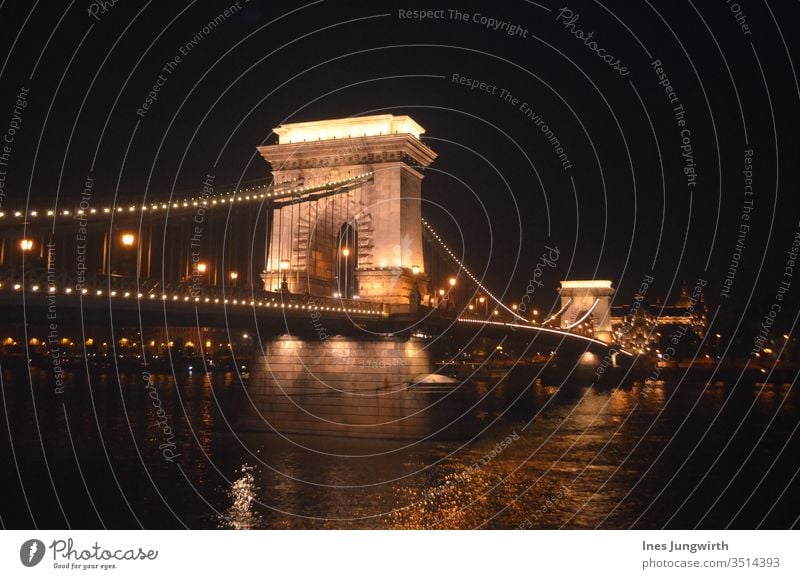 evening illumination of the Chain Bridge in Budapest bridge Night Night shot Lighting Hungary Suspension bridge Tourism Architecture Historic Colour photo