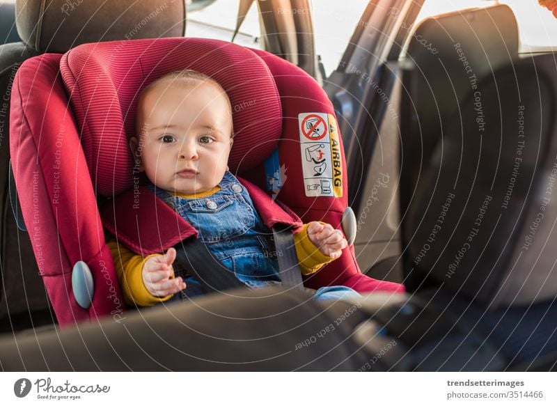 Father fasten his baby in car seat isofix LATCH child safety belt protection transportation vehicle family travel kid people happy caucasian boy lifestyle